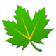 Cover Image of Greenify MOD APK 5.0 (Unlocked)